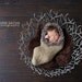 Oatmeal Cocoon with Taupe Faux Fur Trim - newborn photo prop