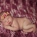 Catarina Headband - newborn photo prop