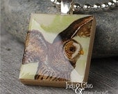 BARRED OWL Handmade Animal Scrabble Tile Art Pendant Charm Jewelry Necklace