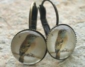Antiqued Brass Bird on a Branch Earrings, Scalloped Edge