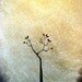 Custom Growing Tall - HUGE 40 x 20, Heavy Textured Acrylic painting, ready to hang, ORIGINAL and HUGE, One of a Kind - Please see close ups