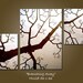 CUSTOM Original Painting Abstract Modern Fine Art Heavy Textured Earthy Tree Nature Contemporary by Shanna - HUGE 56 x 36 - Branching Away