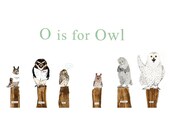 O is for Owl Print