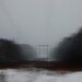 Forest. Quick View - Modern Landscape Fine Art Photography Print -- Gift for Him For Her for Friend