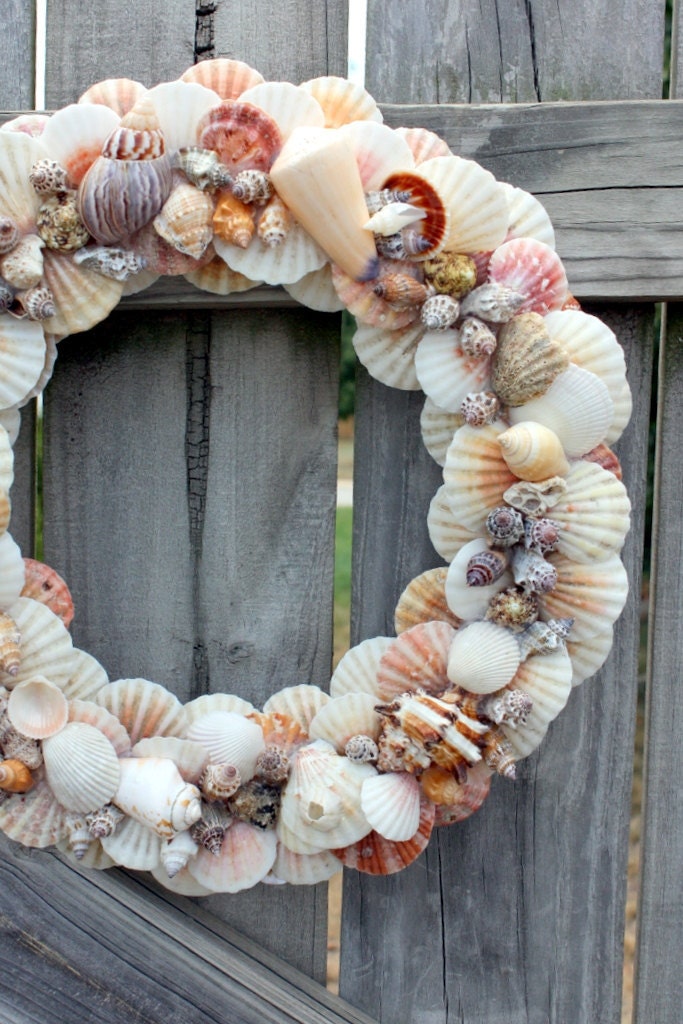 Seashell Wreath (Small)