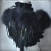 SWAN LAKE Bolero Shrug Bridal Feathers Wings Wedding Black White Felted Merino and Silk, Roses Corsage / Brooch, Marabou Sleeves, US 6