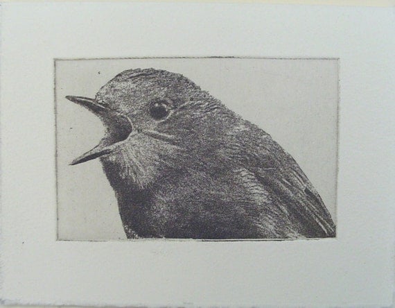original etching of a shouting bird,hand pulled