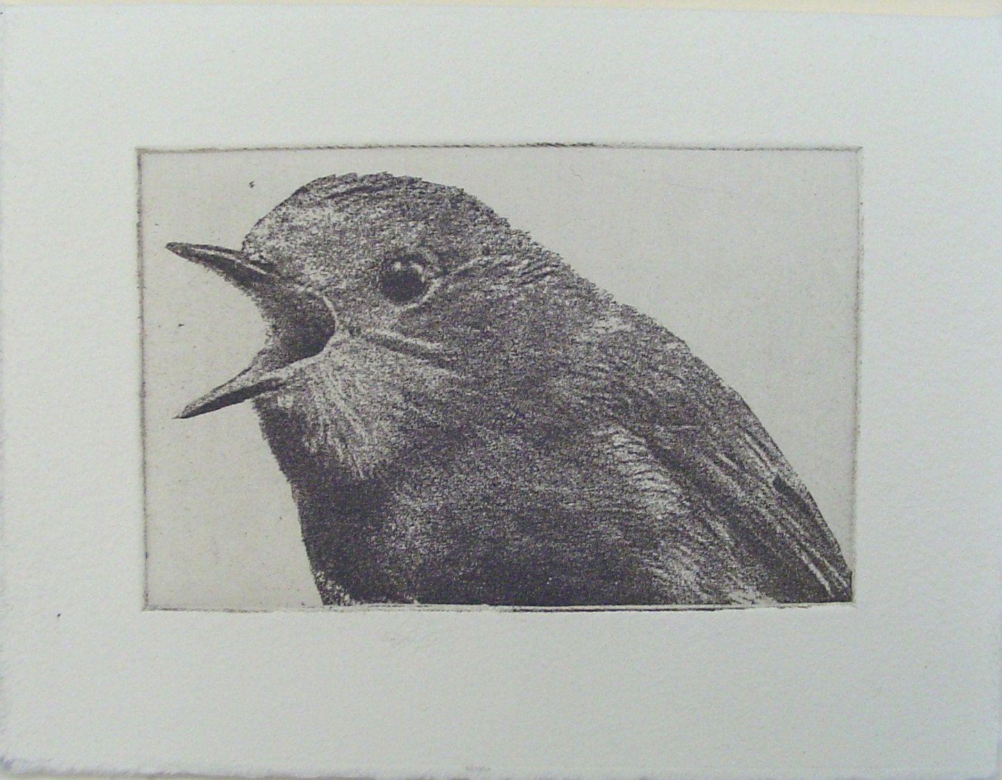original etching of a shouting bird,hand pulled