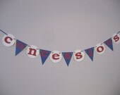 Concessions Baseball Party Banner Il_170x135