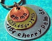 Multi Metal Triple Layered ALL IN ONE Pet Tag