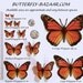 AMETHYST Color BUTTERFLIES 12x Purple Butterfly