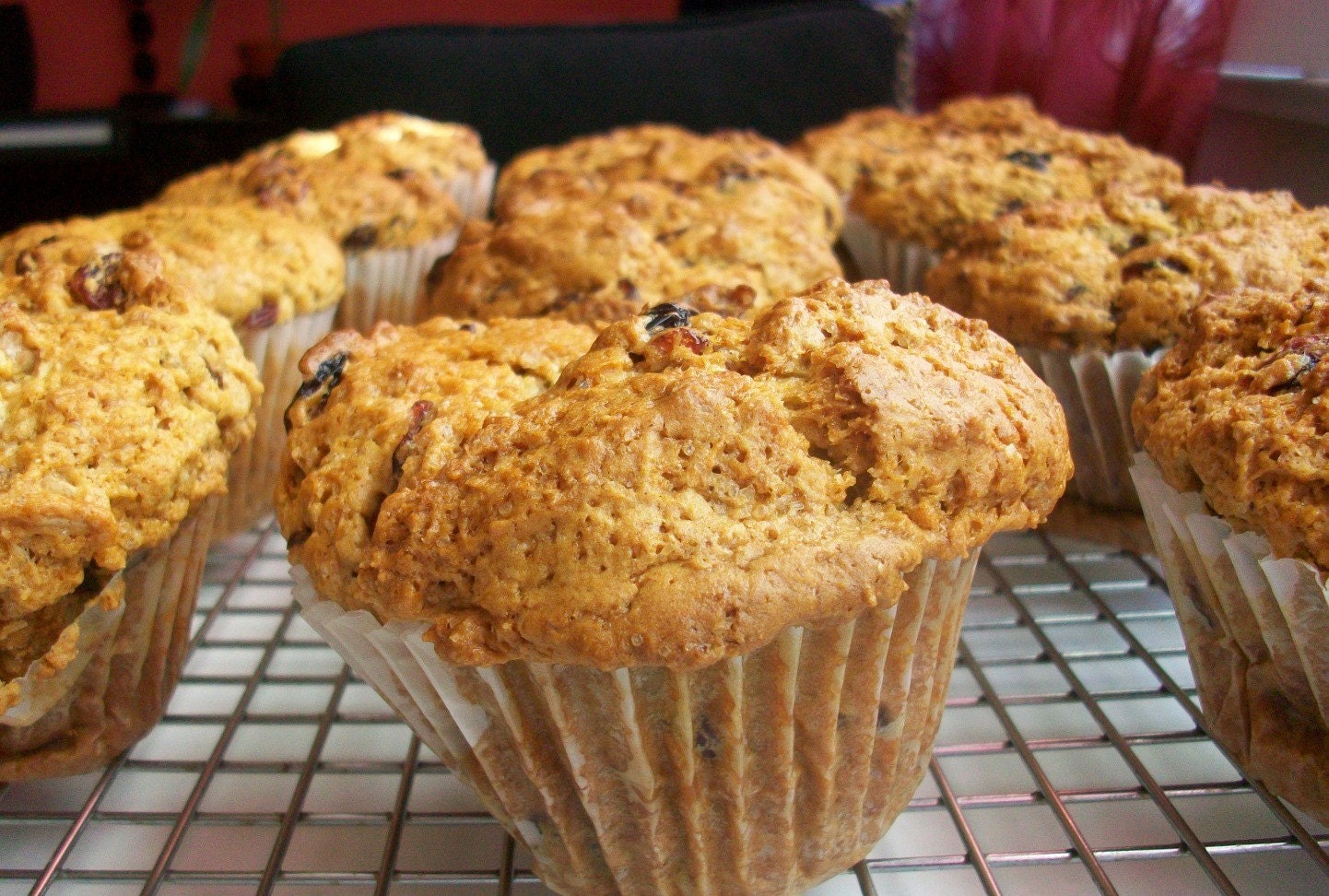 Vegan Nuts and Crannies Mega Muffin Start Your Day Off Right Crazy Good