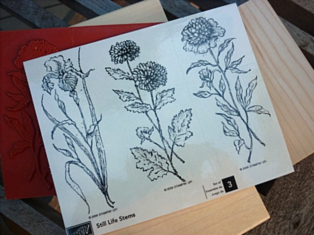 Still Life Stems Rubber Stamps - Stampin Up 2006