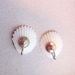 Vintage SeaHorse Earrings - Vintage Sea Shell Earrings