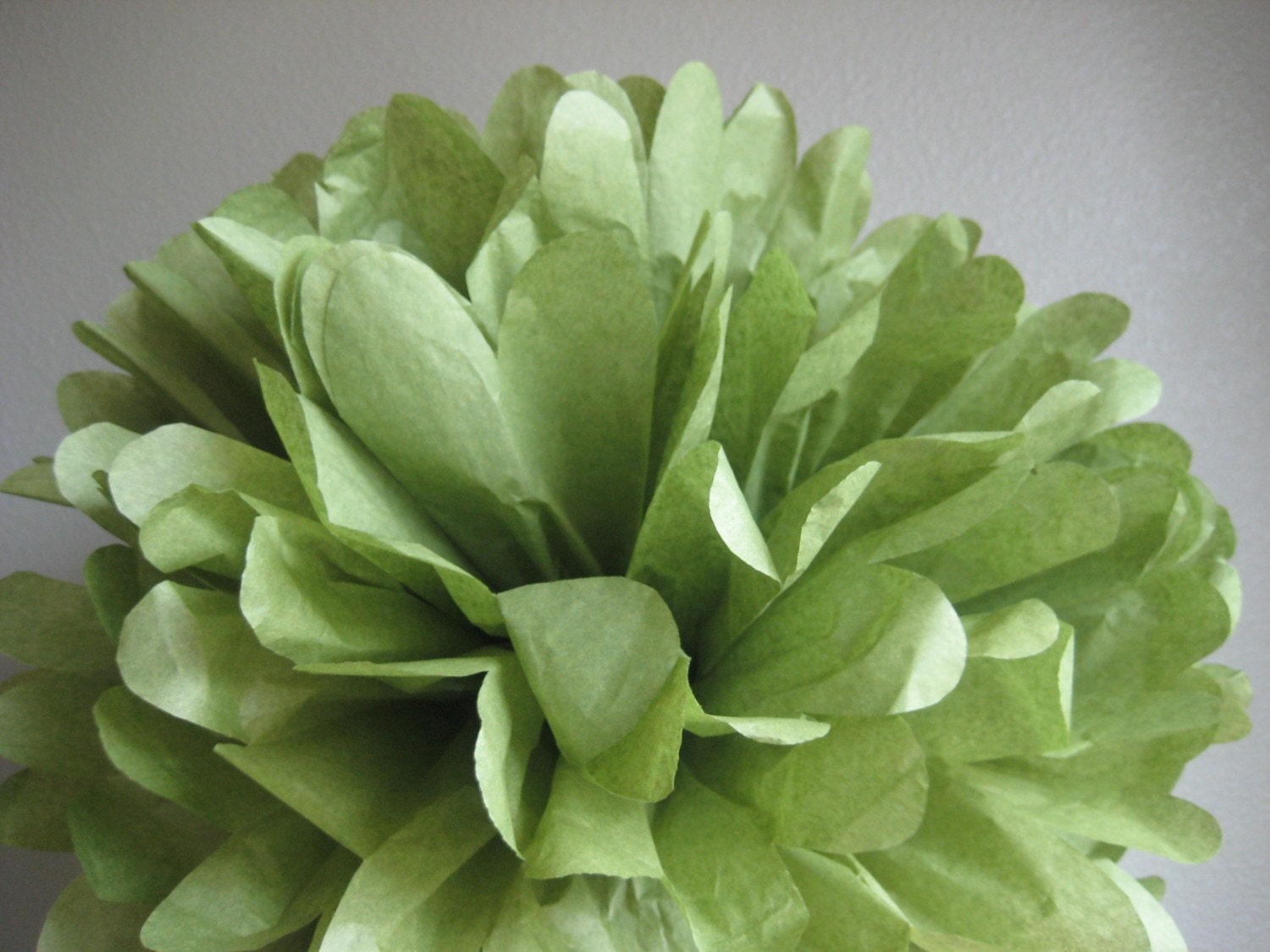Aloe - 1 Large Tissue Pom - Fern Green - Outdoor Garden Party Il_570xn