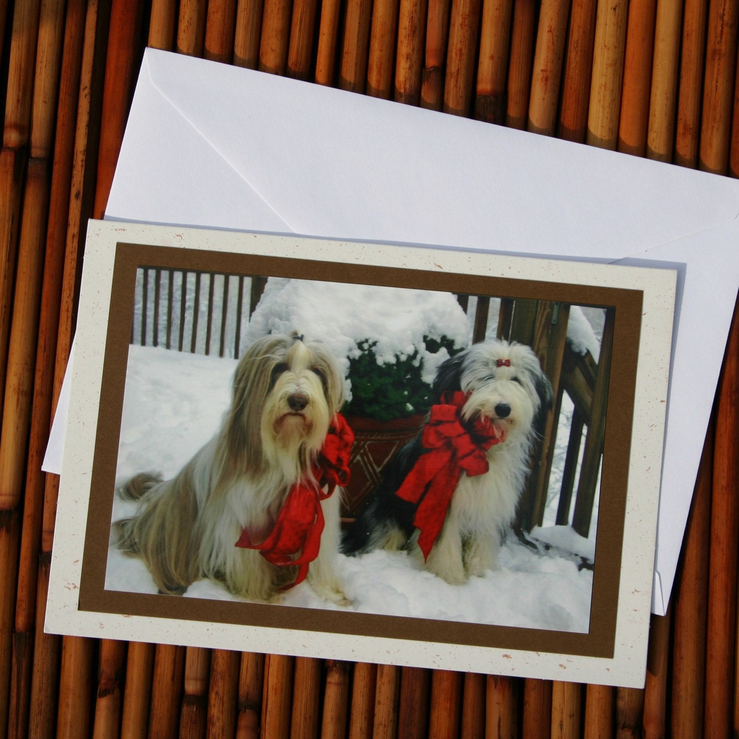 Christmas Pups, Bearded Collie Photo Greeting Cards