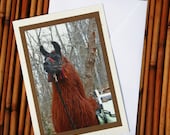 Proud Llama, Photo Greeting Card, Blank