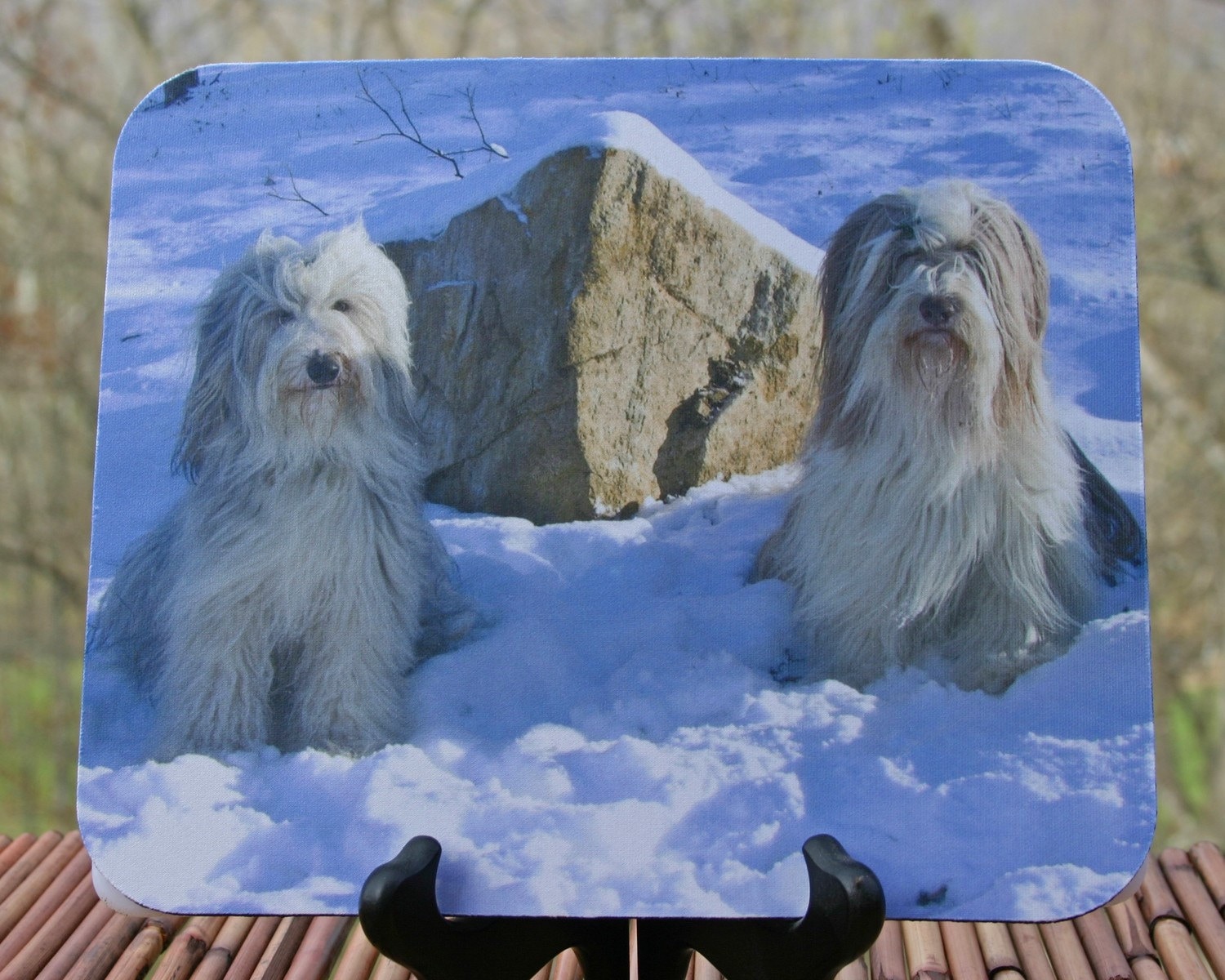 Snow Angels, Bearded Collie Photo Mouse Pad