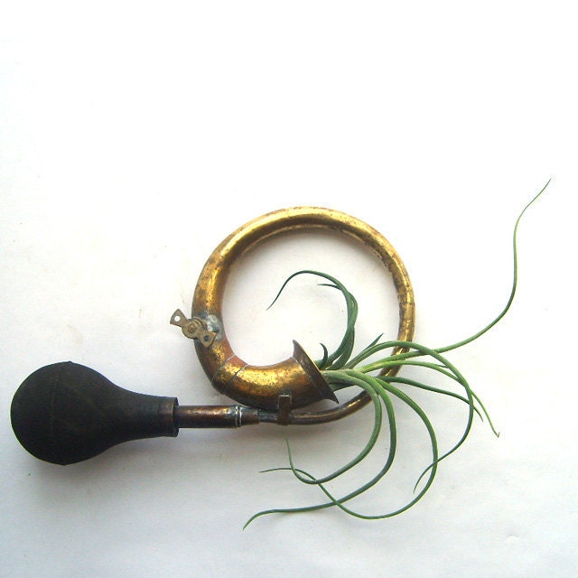 Antique Brass Car Horn With Air Plant