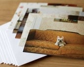 Dog Portrait Series 1, Blank Notecards, Set of 10