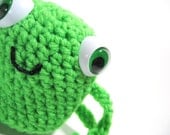 Googly Eyed Amigurumi Frog Friend