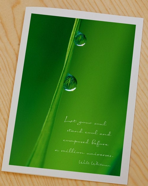 Reflections of life- dew drops photo note card