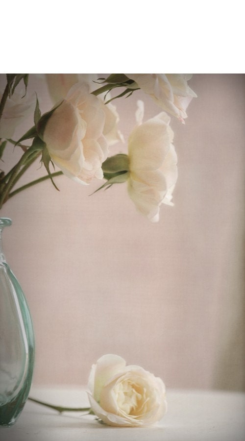 new beginnings... white roses in vase fine art flower photo from leapinggazelle