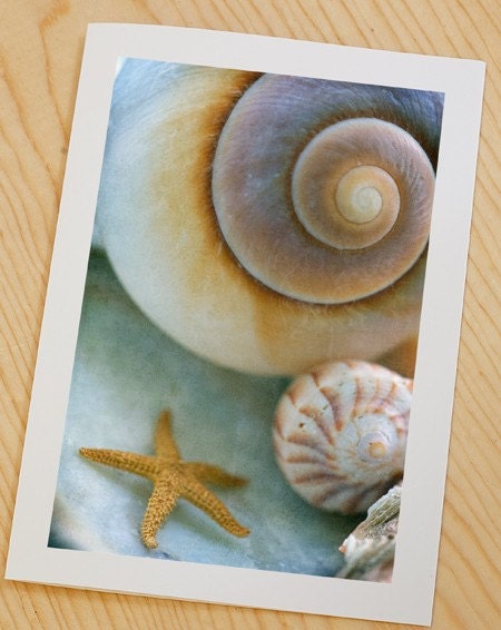 ANY 16 x 24 fine art photo - your choice... nature and botanical flower photos from Leaping Gazelle Studios