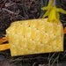 Peeps Midi Bag