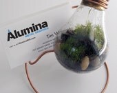 Business Card Display - featuring Plain 25 watt Moss Terrarium - Card on Left