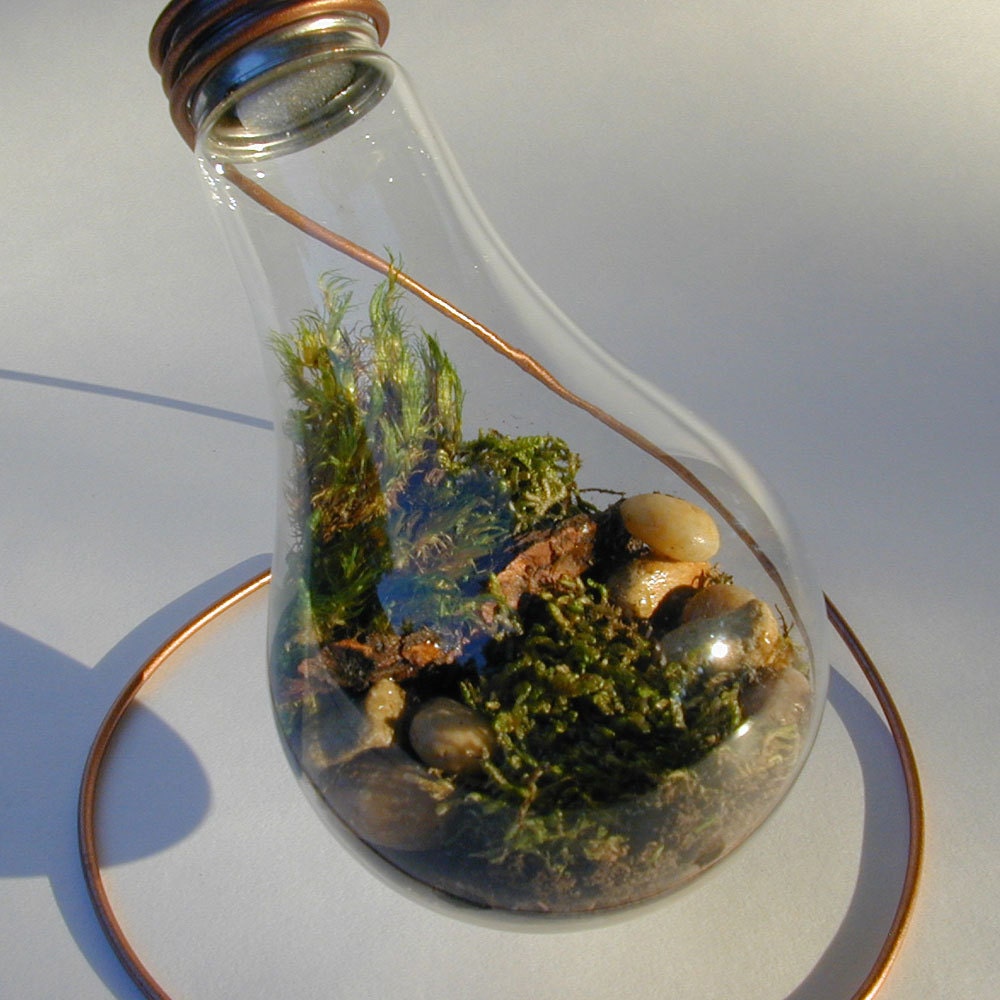 Plain 150 watt Moss Terrarium