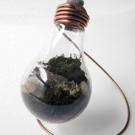 Plain 25 watt Moss Terrarium