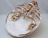 Ceramic Lobster Bowl by Shayne Greco beautiful mediterranean glazed pottery.