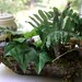 Fairy House Woodland Garden Chair Painted Wooden Trinket Box