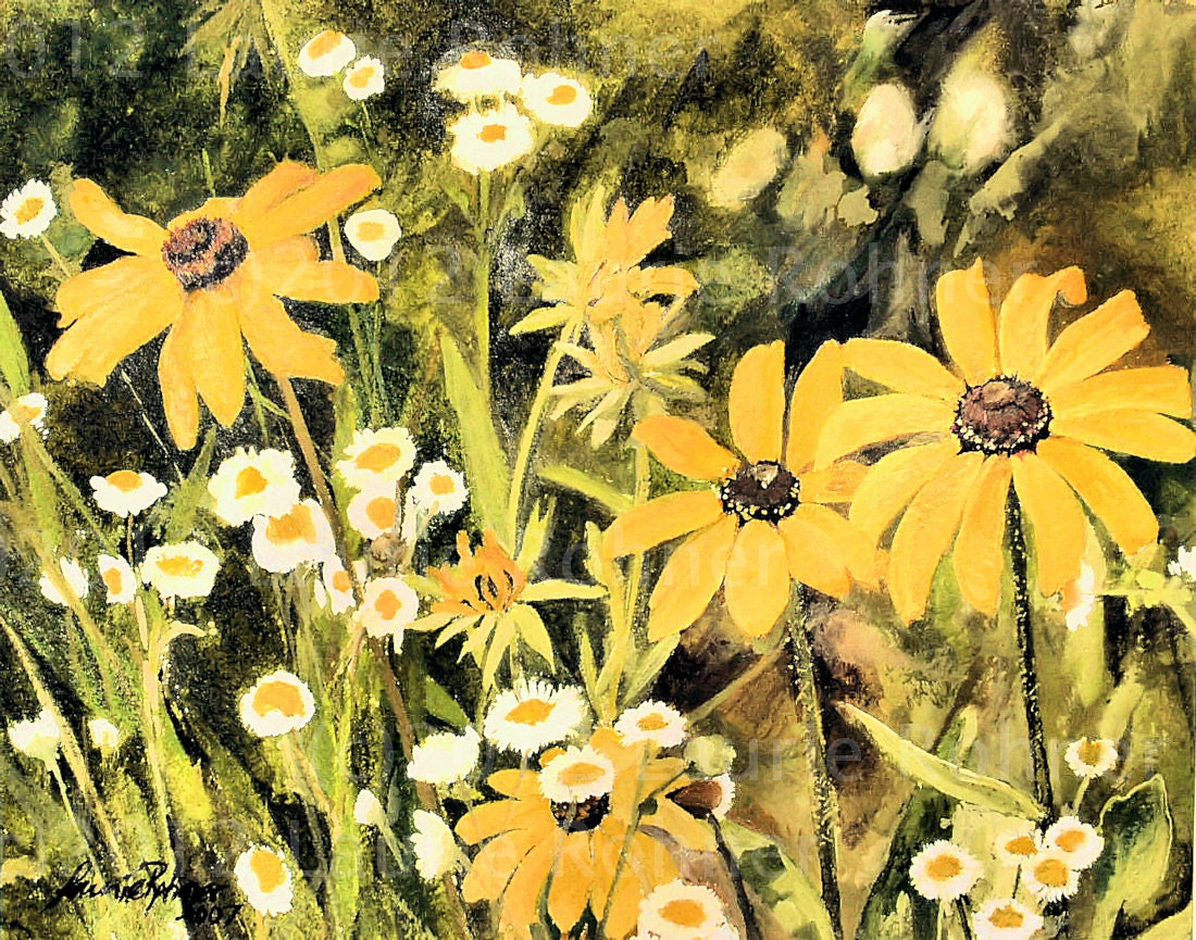 Nature Art Botanical Garden Watercolor Original Painting Black-Eyed Daisies Landscape Laurie Rohner