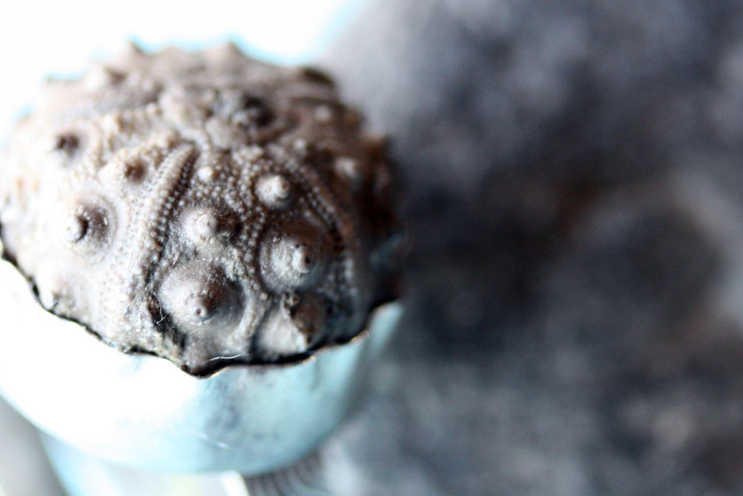 Sea Urchin Fossil in Oxidized Sterling Silver Ring