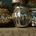 Planted Succulent in Aged Mercury Glass Votive with Rhinestone Accent