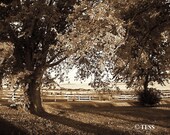 Sepia Golden Country Evening - Landscape Photography -  8 x 12 Photo - Matted And Ready For Framing