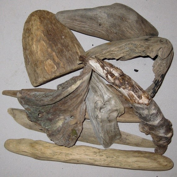 Natural Driftwood 9 Interesting Pieces by OffTheBeach on Etsy