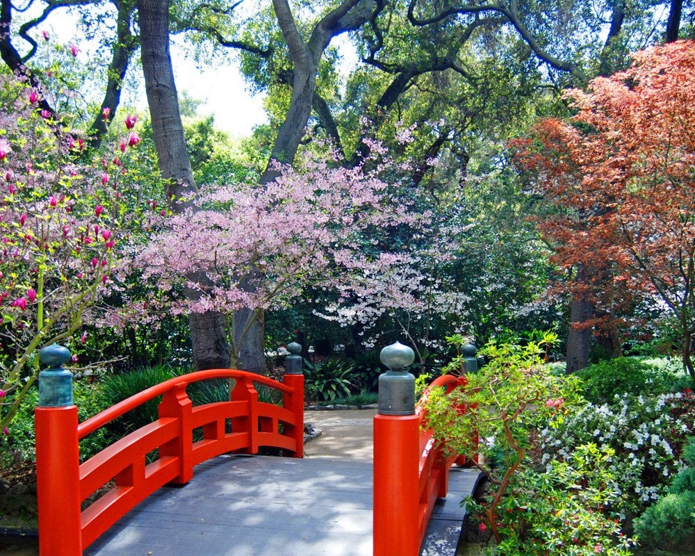 Japanese Tea Garden-Japanese Garden-Descanso Gardens-Fine Art Photography-Wall Art-Home Decor-24X36 Gallery Wrap Canvas Giclee