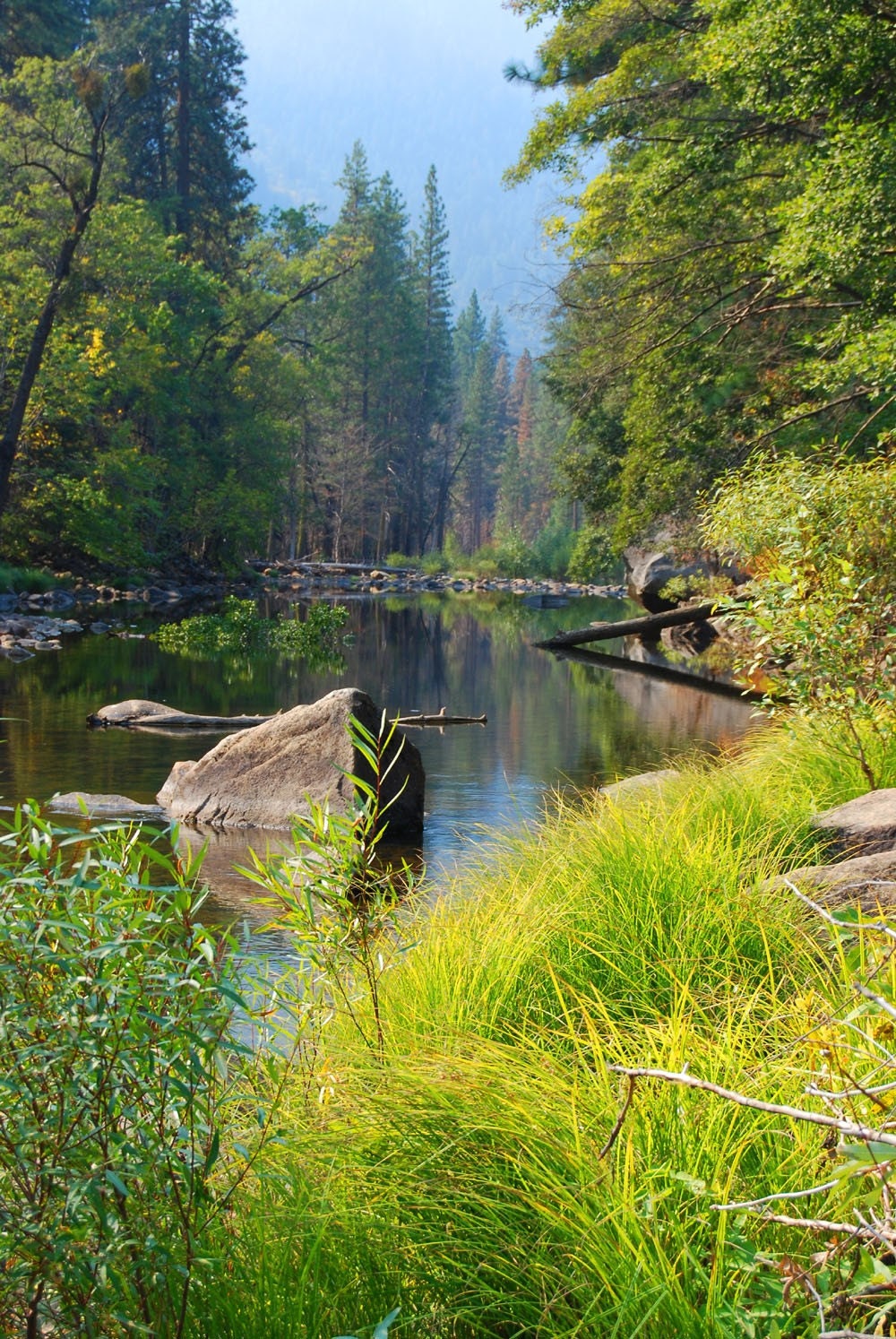 Yosemite National Park-Fine Art Photography- Set of four 8X10 Photo Prints