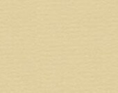 Apple Sauce Bazzill 5 pack of cardstock