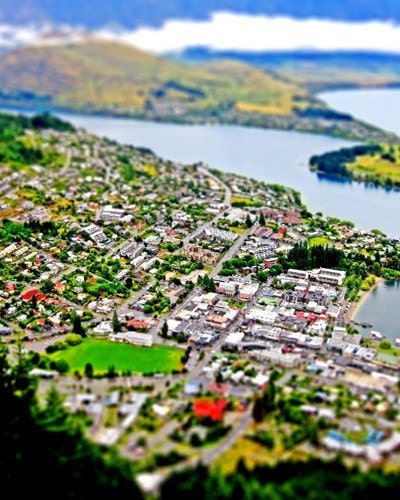 Land of the Kiwis - 8x10 print