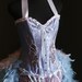 ALICE IN WONDERLAND Burlesque Corset Costume Blue Pink Valentines Sexy prom dress