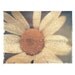Daisy, Polaroid Transfer Reprint, 5x7