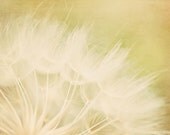Wish - 8 x 12 Fine Art Metallic Photograph - nostalgic dreamy yellow gold home decor print