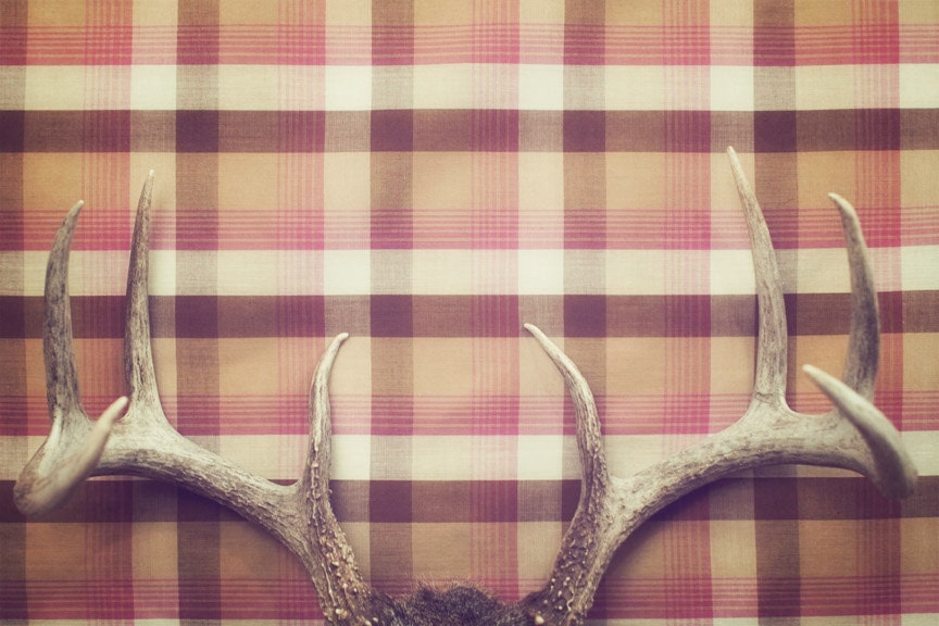 Deer Sweet - 8 x 12 Fine Art Photograph - rustic pink feminine plaid antlers home decor print