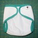 Large- Reusable Cloth Swim Diaper- White and Green