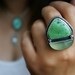 Birthing of the Sea - Variscite and Prehnite Sterling Silver Ring