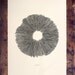 GULLIVER'S MUSHROOM